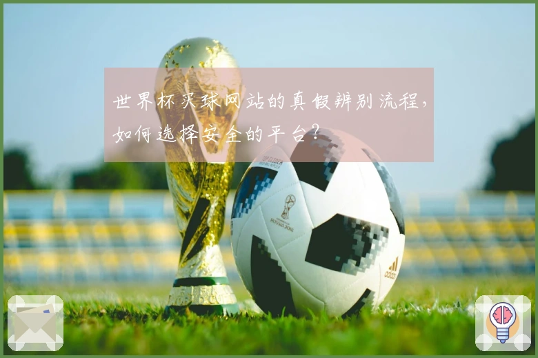 世界杯买球网站的真假辨别流程，如何选择安全的平台？