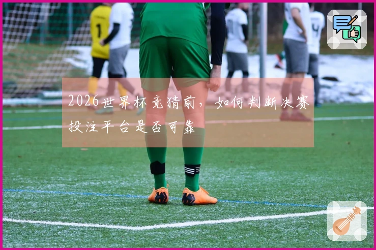 2026世界杯竞猜前，如何判断决赛投注平台是否可靠