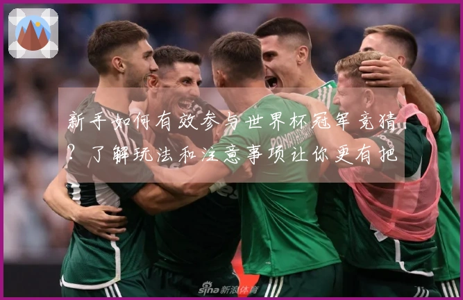 新手如何有效参与世界杯冠军竞猜？了解玩法和注意事项让你更有把握