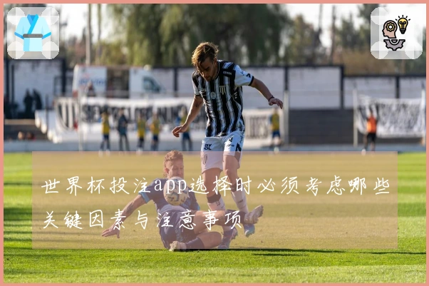世界杯投注app选择时必须考虑哪些关键因素与注意事项