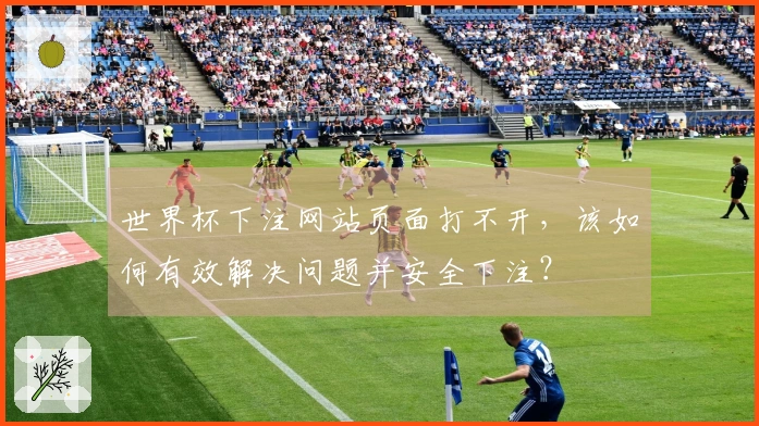 世界杯下注网站页面打不开，该如何有效解决问题并安全下注？