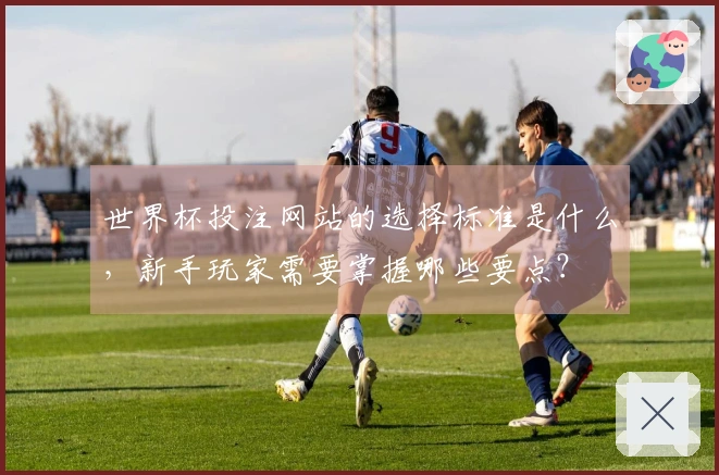 世界杯投注网站的选择标准是什么，新手玩家需要掌握哪些要点？