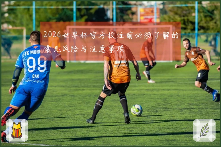 2026世界杯官方投注前必须了解的常见风险与注意事项