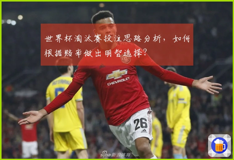 世界杯淘汰赛投注思路分析，如何根据赔率做出明智选择？