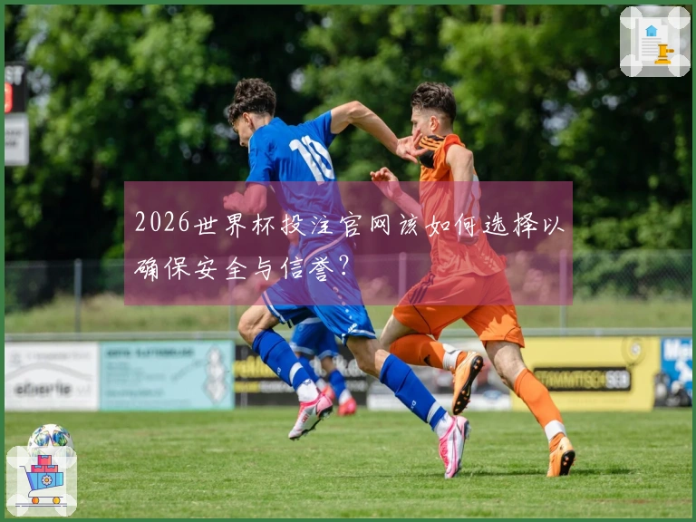 2026世界杯投注官网该如何选择以确保安全与信誉？