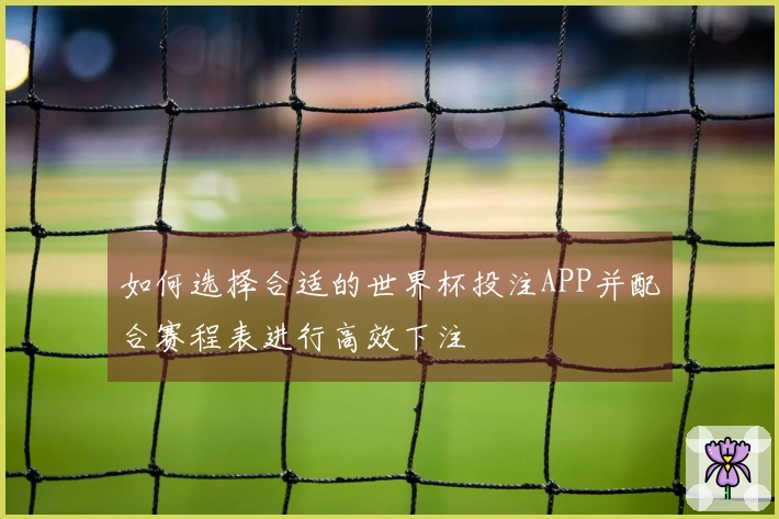 如何选择合适的世界杯投注APP并配合赛程表进行高效下注