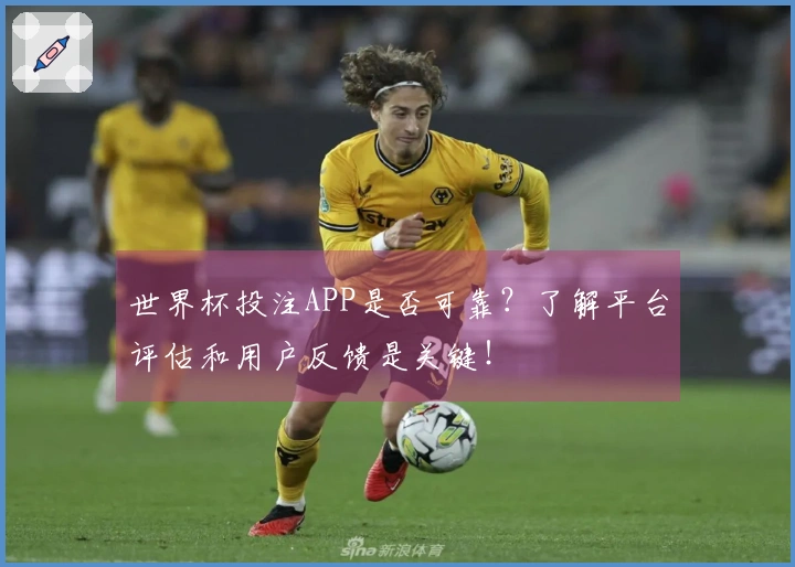 世界杯投注APP是否可靠？了解平台评估和用户反馈是关键！