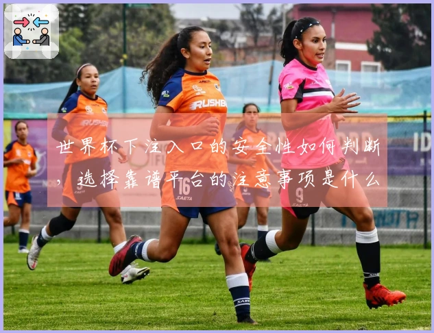 世界杯下注入口的安全性如何判断，选择靠谱平台的注意事项是什么？
