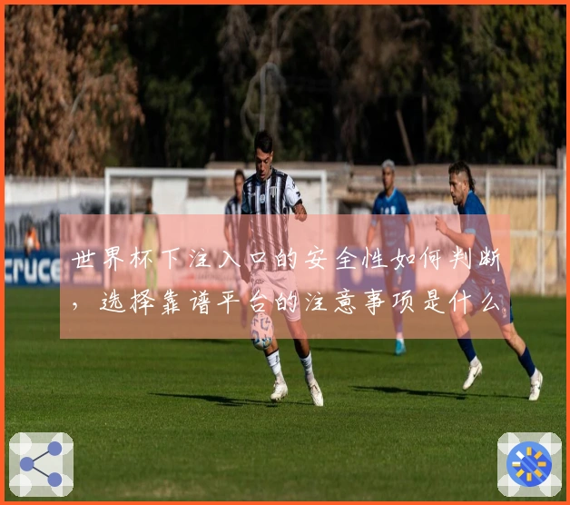 世界杯下注入口的安全性如何判断，选择靠谱平台的注意事项是什么？