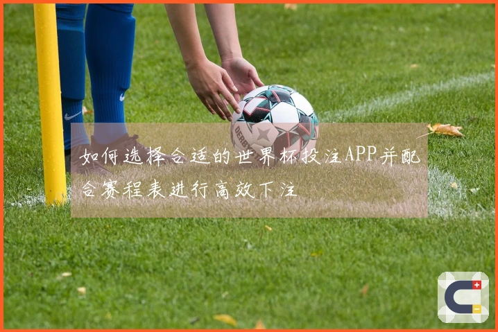 如何选择合适的世界杯投注APP并配合赛程表进行高效下注