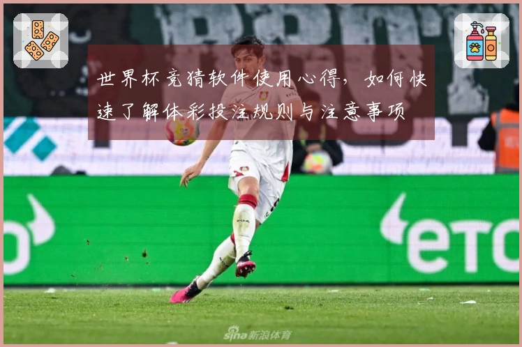 世界杯竞猜软件使用心得，如何快速了解体彩投注规则与注意事项