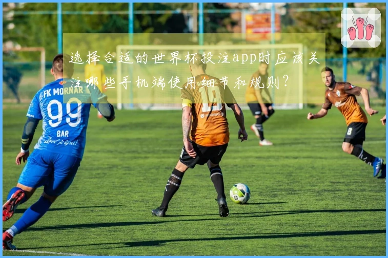 选择合适的世界杯投注app时应该关注哪些手机端使用细节和规则？