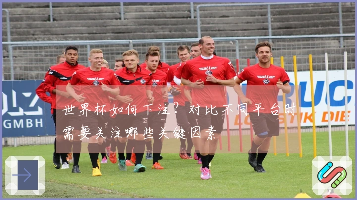 世界杯如何下注？对比不同平台时需要关注哪些关键因素
