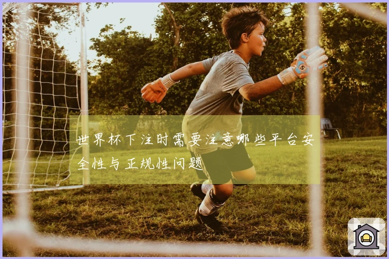 世界杯下注时需要注意哪些平台安全性与正规性问题